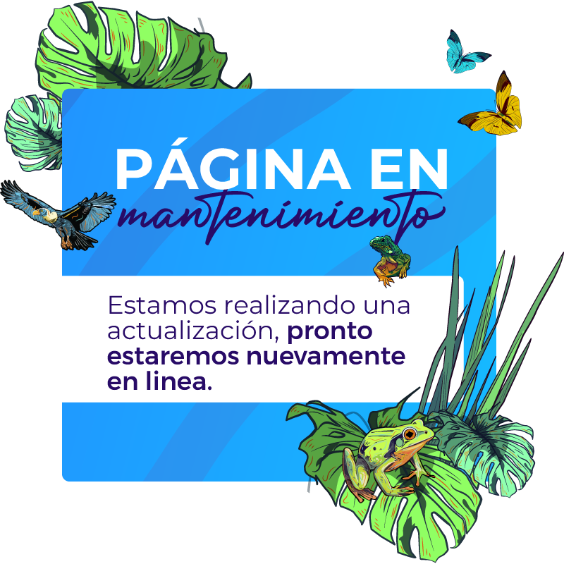 PAGINA-EN-MANTENIMIENTO
